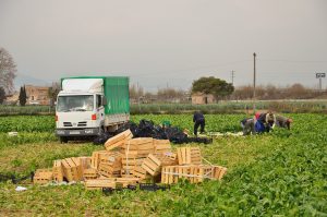 En Los Ríos lanzan campaña destinada a trabajadores expuestos al sol