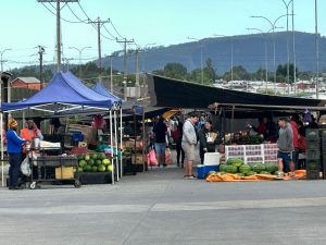 Con éxito se implementó cambio de posición de feria libre en Valdivia