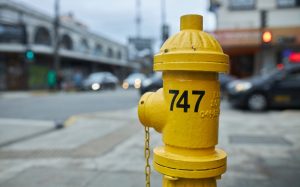 Cerca del 10% de los grifos de la ciudad son destruidos anualmente en Valdivia