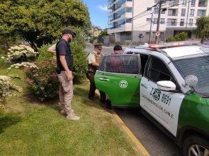 En promedio Carabineros concreta una detención cada 53 minutos en Los Ríos