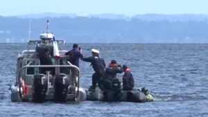 Buzos especializados realizan peritajes subacuáticos a helicóptero en que cayó Sebastián Piñera