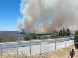 Municipalidad de Valdivia anunció campaña solidaria en ayuda a afectados por incendios en región de Valparaíso