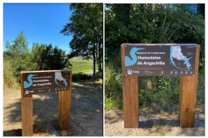 Valdivia: Concluyó instalación de señaléticas en Humedal Angachilla