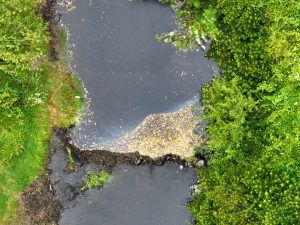 Fiscalizan posible contaminación en el río Contra en la comuna de Río Bueno