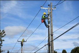 Eléctrica Saesa anuncia mantención de sus redes en Valdivia y Panguipulli