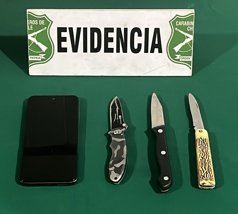 Tres jóvenes fueron detenidos portando armas y un celular robado en Río Bueno