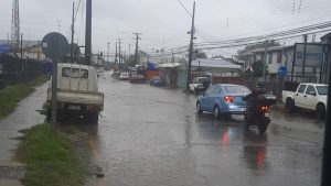 Caída de árboles, casas anegadas y cortes de luz: Sistema frontal afecta a la región de Los Ríos