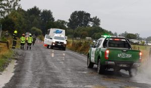 Adulta mayor falleció atropellada por un bus de pasajeros en Río Bueno