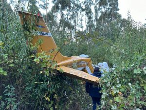 Una persona fallecida tras caída de avioneta en Los Lagos