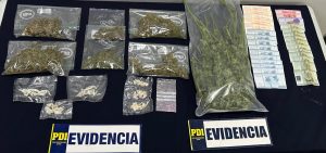 Incautan drogas avaluadas en más de 13 millones de pesos en Los Lagos
