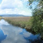 Valdivia: Crecer con sentido en una ciudad de humedales