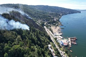 Declaran Alerta Roja por incendio forestal en la localidad de Niebla en Valdivia