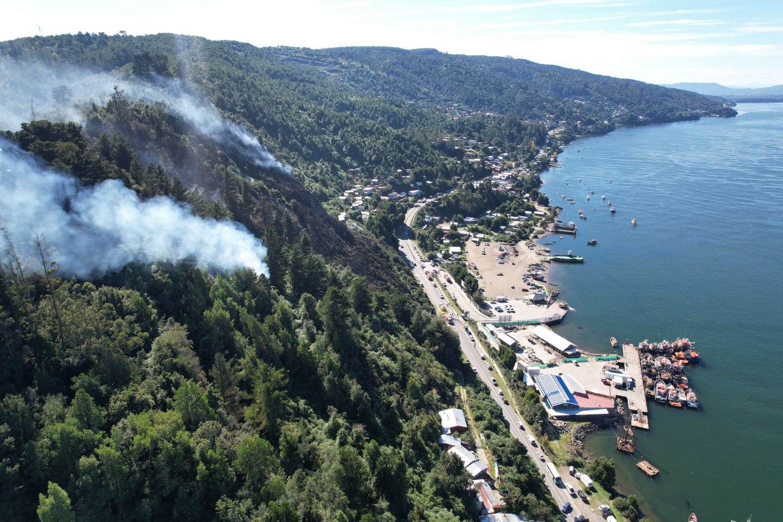 Declaran Alerta Roja por incendio forestal en la localidad de Niebla en Valdivia