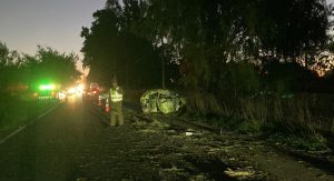 Accidente en Máfil: Conductor resultó herido tras impactar contra un árbol