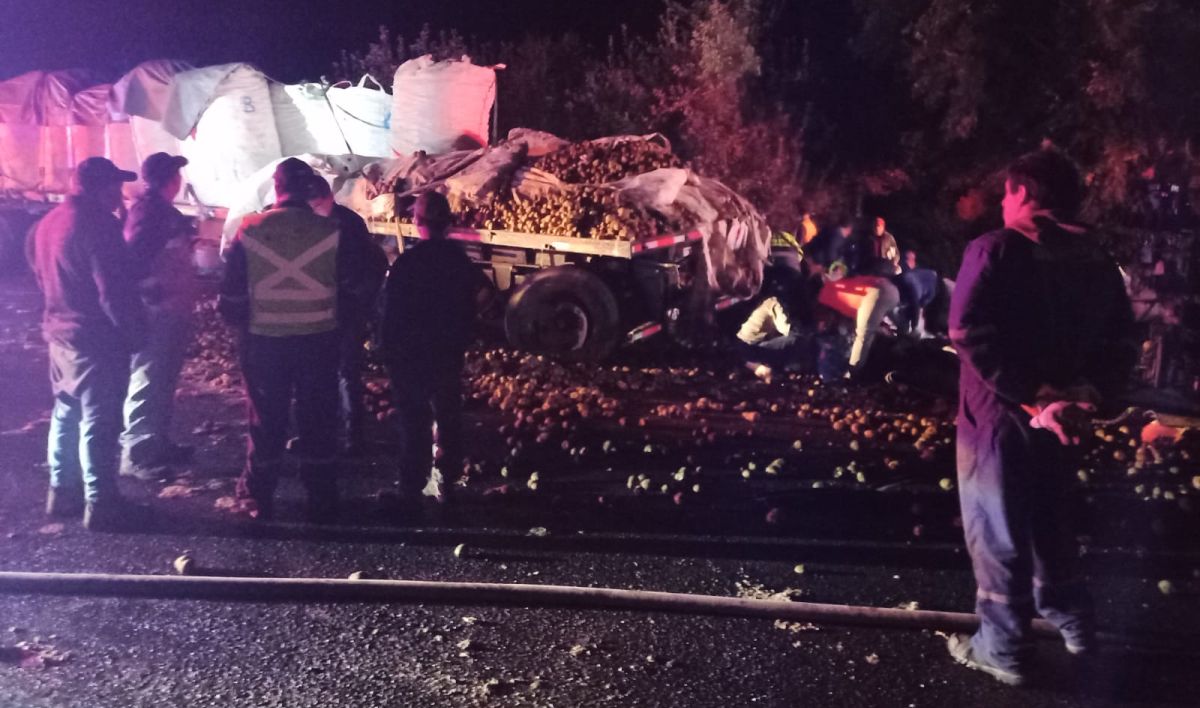 Conductor de Vialidad fue formalizado y desvinculado por conducir ebrio tras choque de camiones en ruta T-202