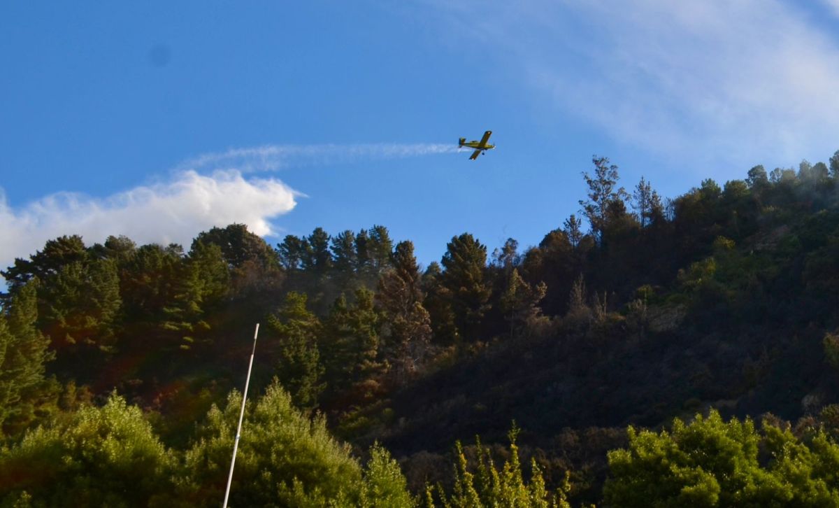 Delegación Presidencial presentó querella criminal por incendio forestal en Niebla