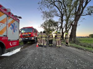 Apareció hombre que era buscado por equipos de emergencia en Los Lagos