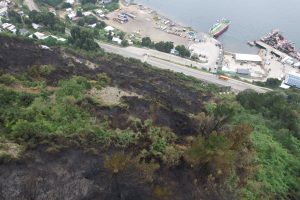 Concretan detención de dos hombres por incendio forestal en Niebla