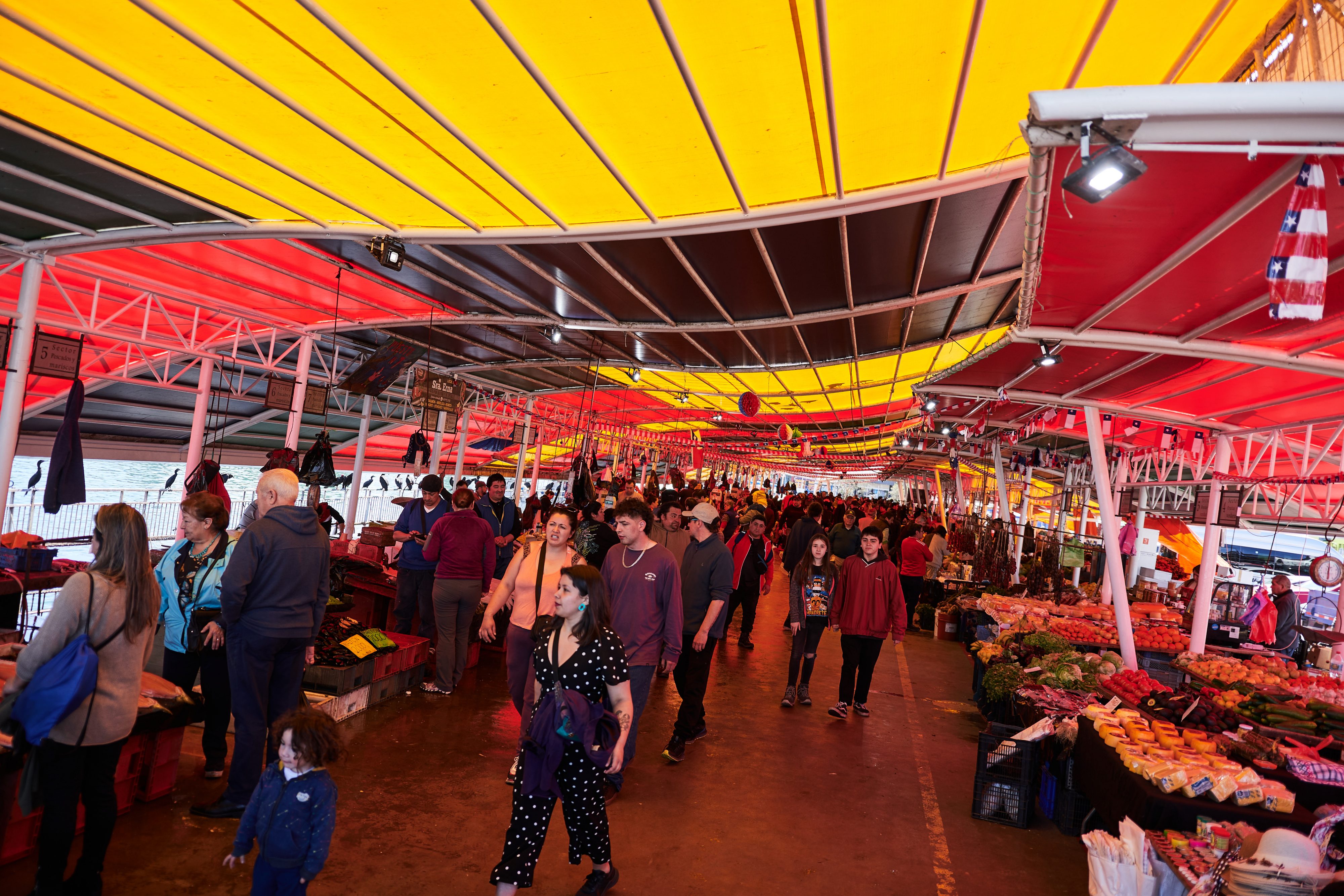 Feria Fluvial de Valdivia estará cerrada este lunes y martes por trabajos de mejoramiento