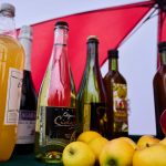 Valdivia se prepara para la 3ª Fiesta de la Manzana y la Sidra con su primera competencia internacional