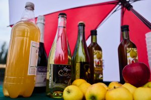 Fiesta de la Manzana y la Sidra en Valdivia contará con 21 expositores locales y nacionales