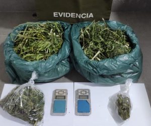 Hombre fue detenido con casi 3 mil dosis de marihuana en Coñaripe
