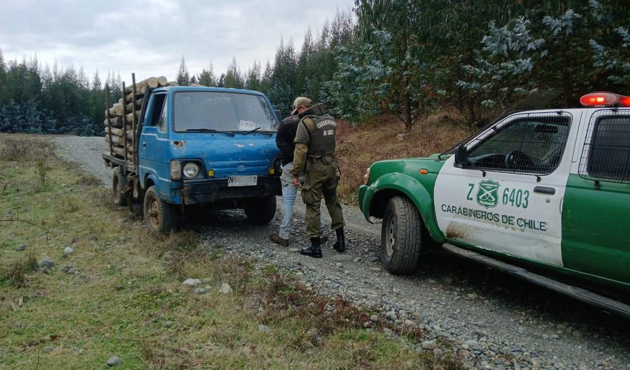 Valdivia: Carabineros frustran robo de leña y detienen a sujeto con antecedentes penales