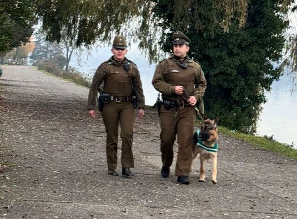 Primera Comisaría de Valdivia recibe a nuevo can policial