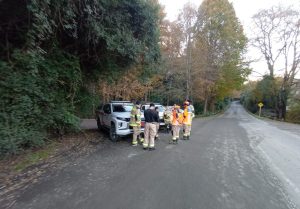 Bomberos de Futrono y Los Lagos buscan a hombre que está desaparecido desde el 29 de abril pasado