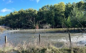 Reducen cobertura de Alerta Roja sólo a Lanco por amenaza de desborde del río Cruces