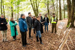 En enero de 2025 culminarían las obras de mejoramiento del Parque Santa Inés de Valdivia