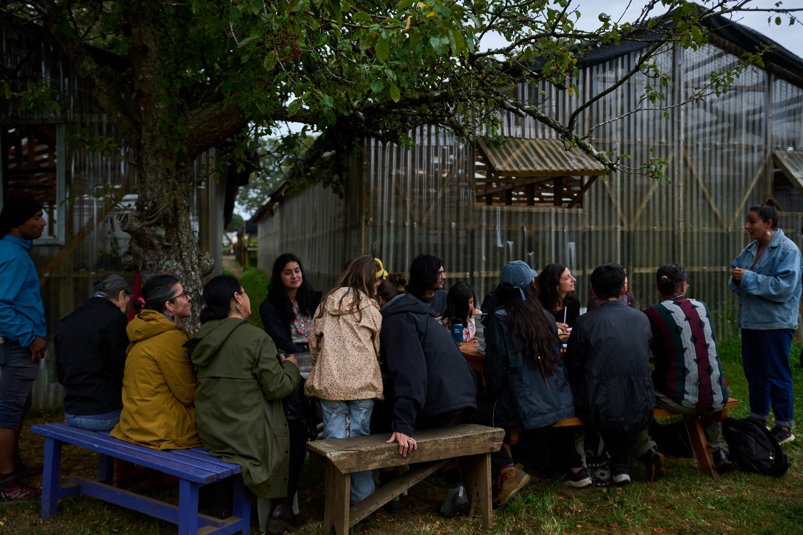 Valdivia: Invitan a intercambiar semillas y saberes en feria de huertas urbanas