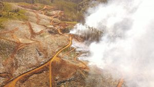 Paillaco: Incendio forestal en La Plata ha consumido cerca de 3 hectáreas