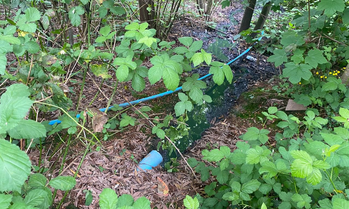 Detienen a dos personas por descargar residuos de baños químicos en Humedal Angachilla