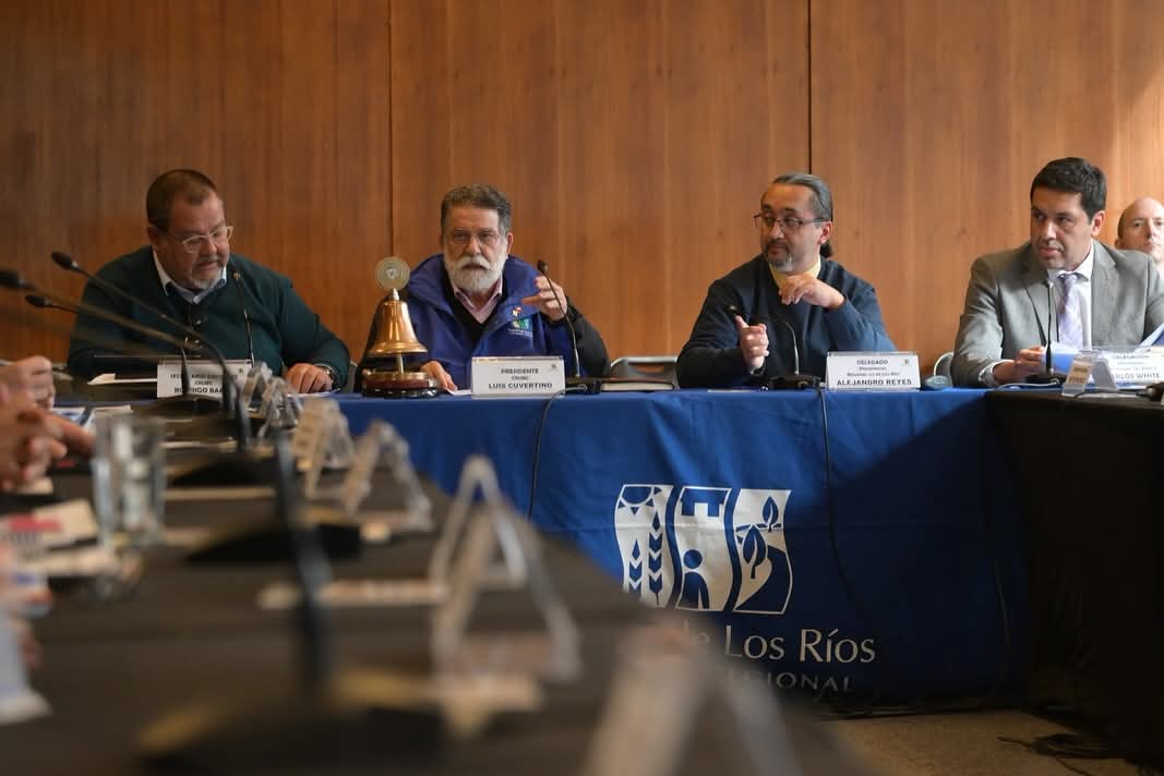 Tensa sesión: Aprueban sólo un 3% de ECMPO Wadalafken y Gobernador Cuvertino reconoce falta de diálogo