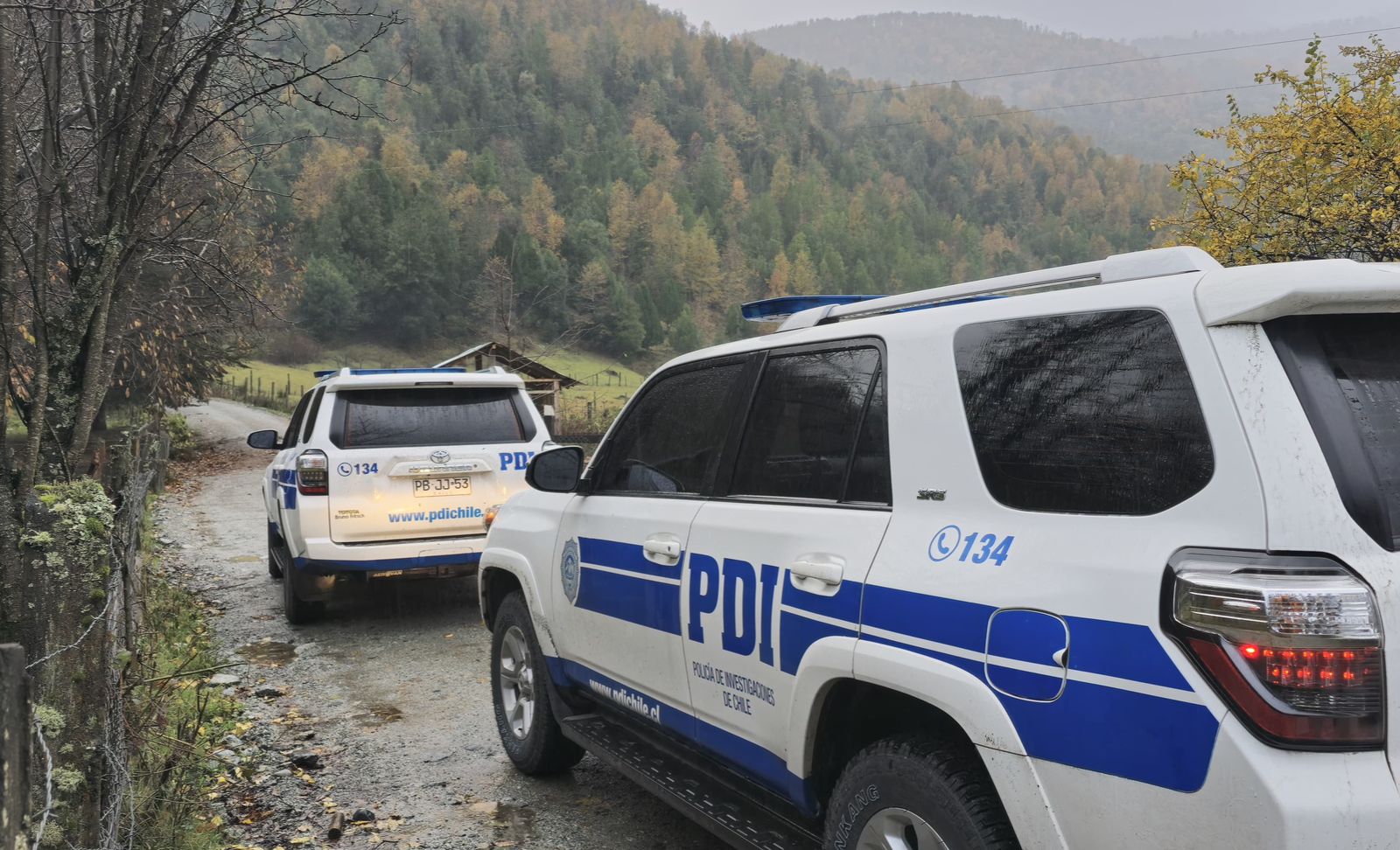 Panguipulli: Mujer dejó en riesgo vital a un hombre tras una presunta agresión sexual