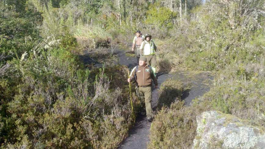 Encuentran con vida a hombre que se encontraba desaparecido en sector rural de Lago Ranco