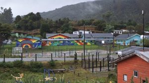 Escuela Rural de Chaihuin se encuentra clausurada por plaga de ratones: 42 estudiantes sin clases