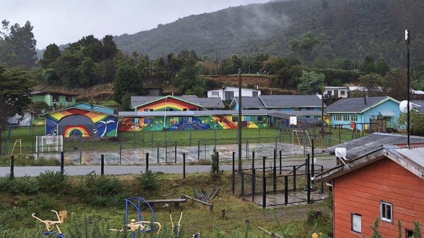 Escuela Rural de Chaihuin se encuentra clausurada por plaga de ratones: 42 estudiantes sin clases