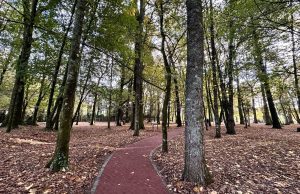 Parque Santa Inés reabre con renovados espacios y mayor seguridad e inclusión