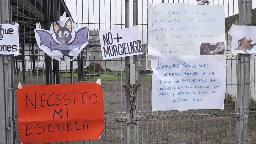 Apoderados se toman Escuela de Antilhue: Exigen solución definitiva por plaga de murciélagos