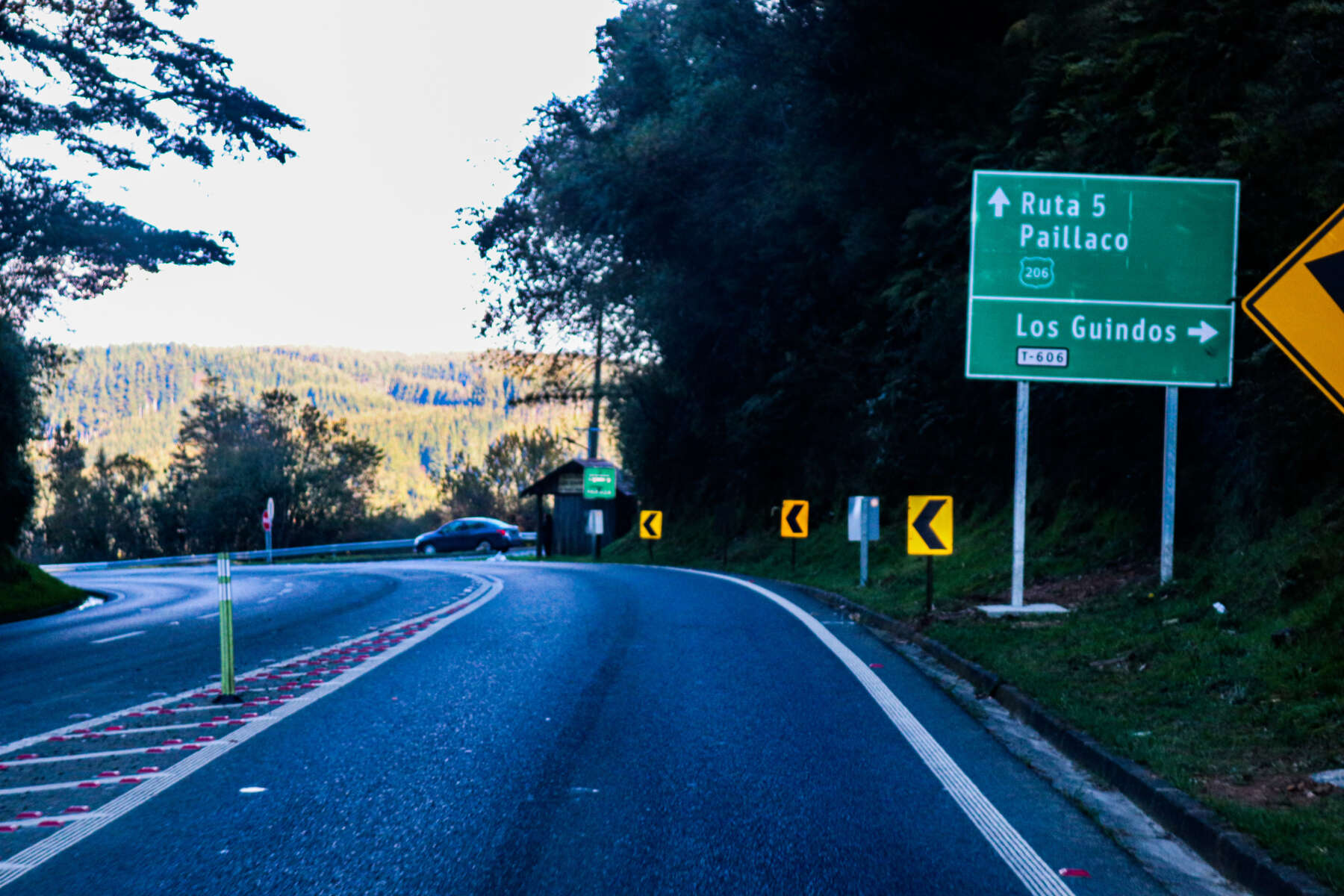 Solicitan aplicación de anticongelante en ruta Paillaco-Valdivia para evitar accidentes tras anuncio de heladas