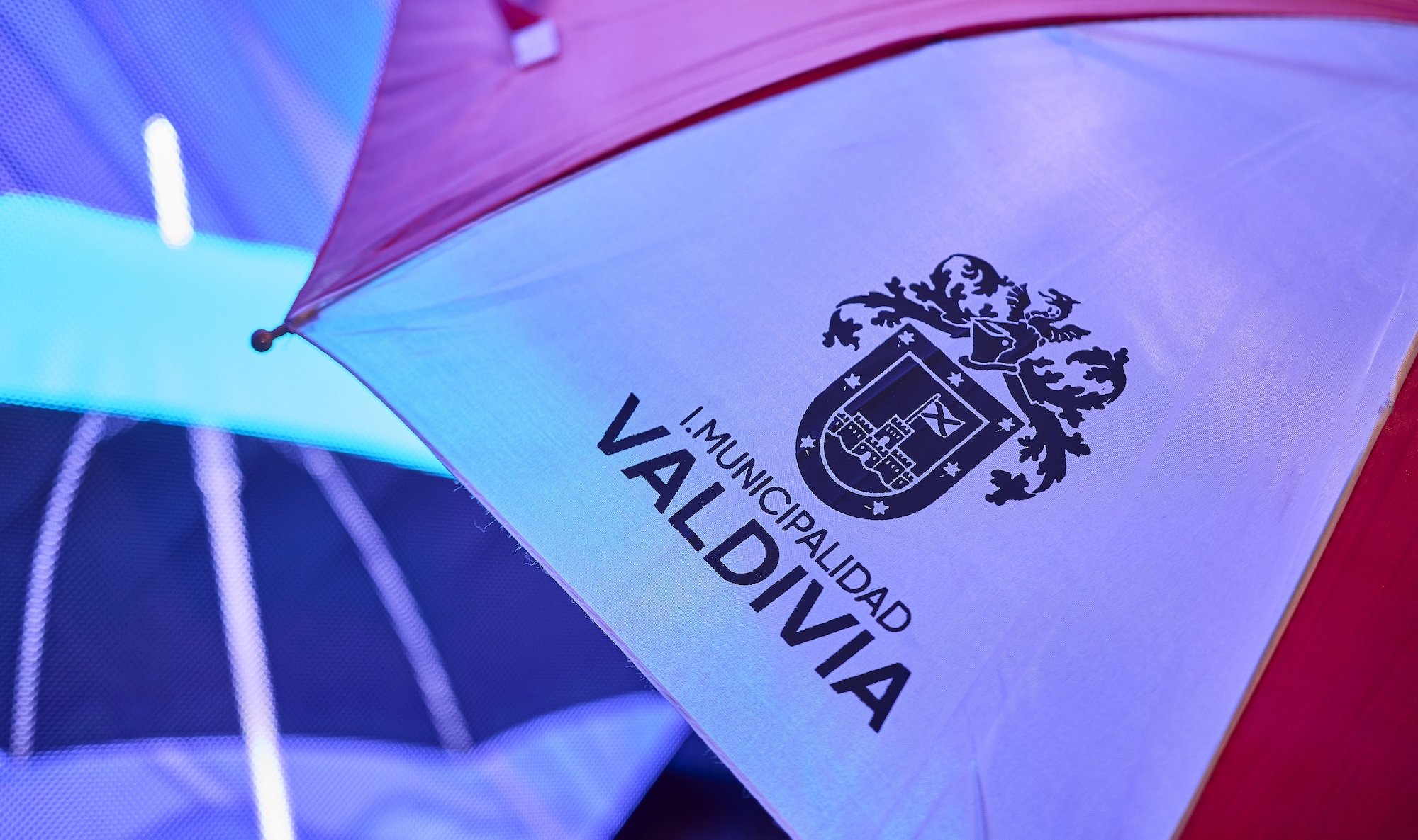 “Lluvia de panoramas” en Valdivia: Alistan 16 eventos artísticos, culturales, gastronómicos y deportivos