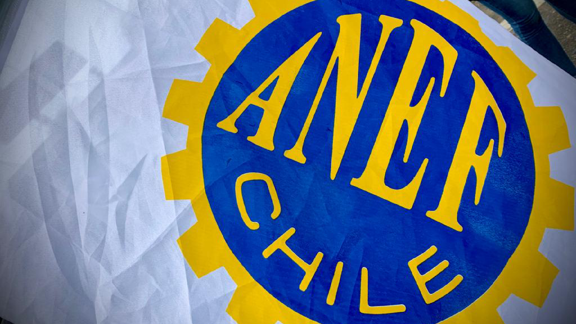 ANEF Los Ríos acusa contratación de exdirector de Sernapesca pese a sumario por acoso laboral