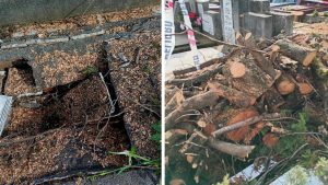 “Lloré hasta cansarme”: Mujer denuncia que tumba de sus padres fue destruida en cementerio de Valdivia