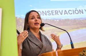 “No más trámites eternos”: Amtmann apunta contra el Gobierno por incierto futuro del puente Cochrane