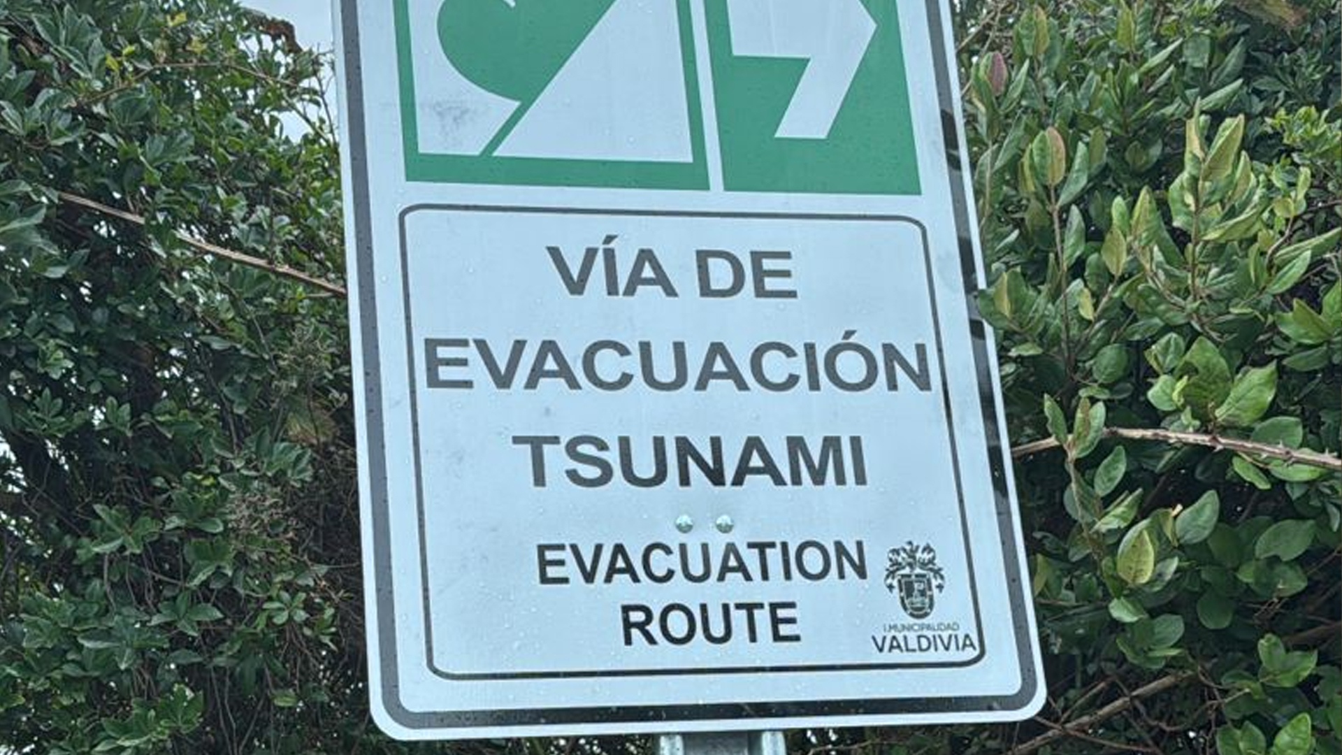 Servicio de barcaza Niebla-Corral se habilitaría en las próximas horas tras cancelación de alerta de tsunami