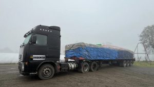 Tres detenidos por estafa en La Unión: Utilizaron cheques adulterados para sustraer 43 mil kilos de maíz