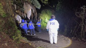 Hombre de 48 años falleció tras caer desde altura mientras cortaba leña en Neltume