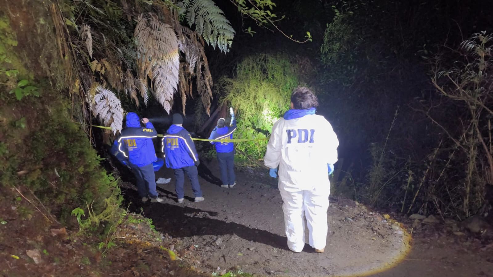 Hombre de 48 años falleció tras caer desde altura mientras cortaba leña en Neltume